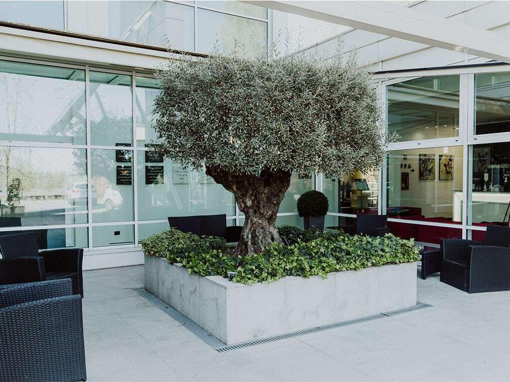 Hotel Carpi Esterno foto