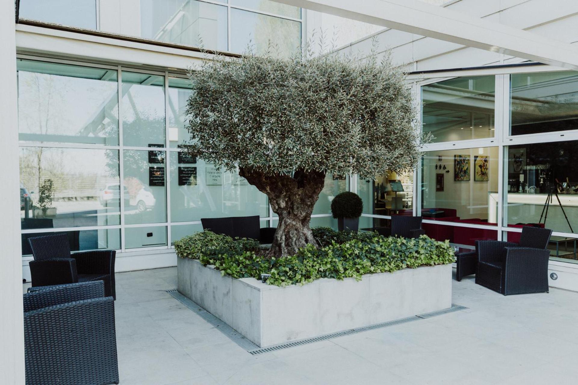 Hotel Carpi Esterno foto